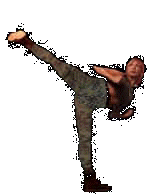 kickcam.gif (7383 bytes)